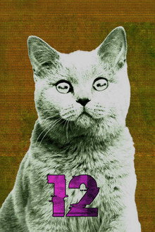 Сезон 12