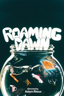 Poster do filme Roaming Dawn
