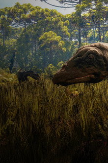Secrets of the Jurassic Dinosaurs