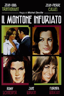 Il montone infuriato
