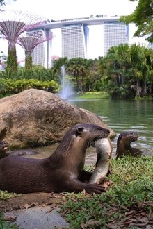 Uptown-Otters