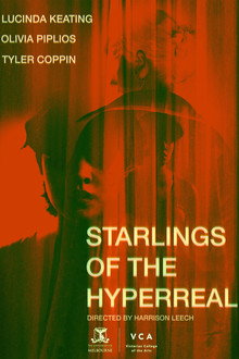 Starlings of the Hyperreal