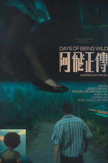 Days of Being Wild