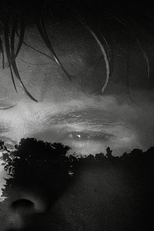 A Voyeurs Body