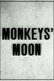 Monkey's Moon