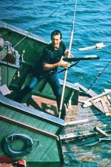 Jaws