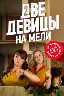 Poster da série Two Broke Girls