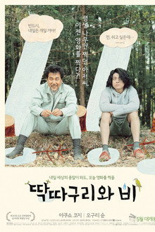 딱따구리와 비