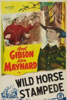 Poster do filme Wild Horse Stampede