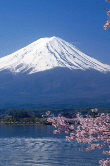 プロフェッショナル-仕事の流儀