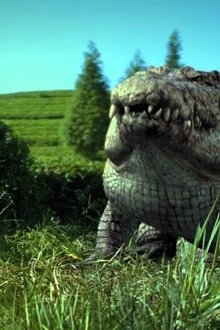 Million-Dollar-Crocodile