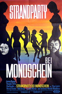 Strandparty bei Mondschein