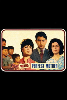 Wanted: Perfect Mother