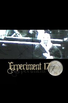 Experiment 17