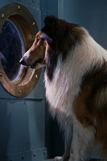 Lassie, the Voyager