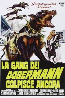 La gang dei doberman colpisce ancora
