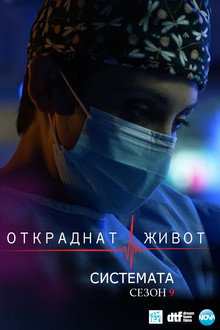 Сезон 9
