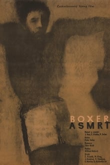 Poster do filme Boxer a smrť