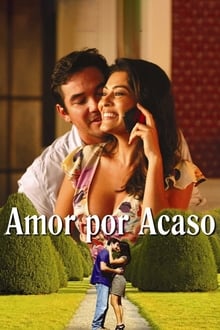 Poster do filme Amor Por Acaso