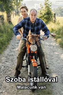 Szoba istállóval - Malacunk van