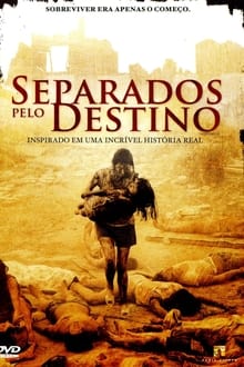 Poster do filme Separados Pelo Destino