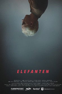 Elefanten