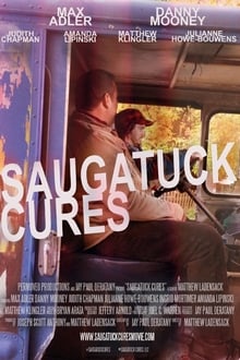 Poster do filme Curas de Saugatuck