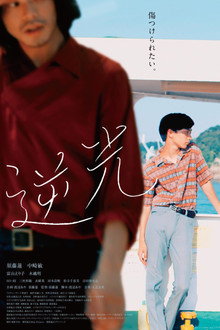 逆光