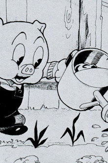 Porky's Garden