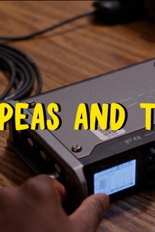 Three Peas and The Pod