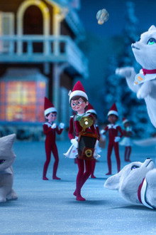 Elf Pets: A Fox Cub's Christmas Tale