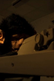 The Infinite Monkey Theorem
