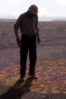 Stones and Flies: Richard Long in the Sahara