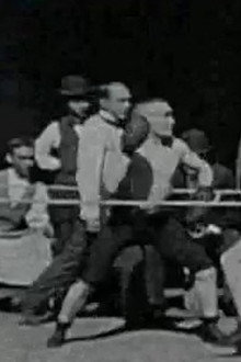 Glenroy Brothers (Comic Boxing)