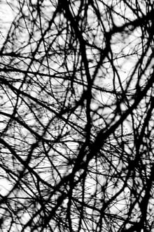 Rascunho automático