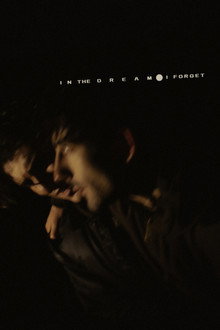 In the Dream I Forget