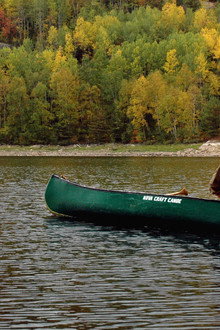 Ray Mears' Bushcraft