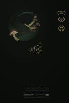 Poster do filme Los pájaros no tienen vértigo