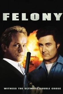 Felony movie poster