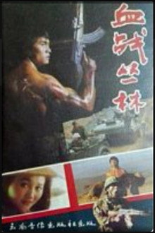 血战丛林