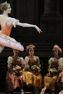 The Bolshoi Ballet Collection - The Sleeping Beauty