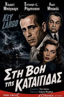 Στη βοή της καταιγίδος