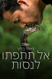 עונה 1