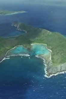 Wild-Caribbean