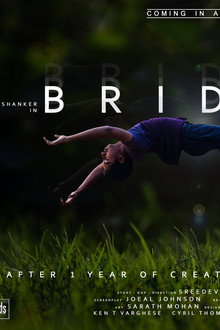 Bridge