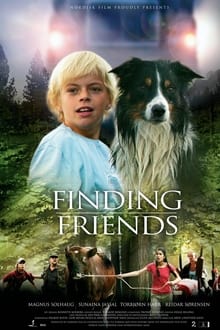 Poster do filme Finding Friends