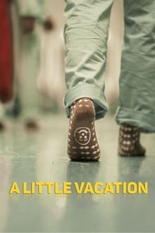 Poster do filme A Little Vacation