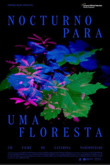 Nocturno Para Uma Floresta