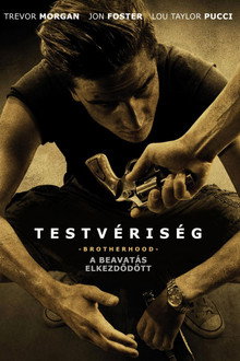 Testvériség