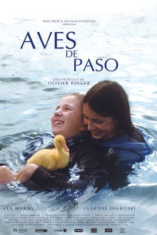 Aves de paso